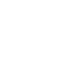 Business Automation Icon